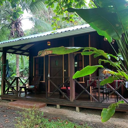 Cabinas Coco Lindo Ojochal Zewnętrze zdjęcie